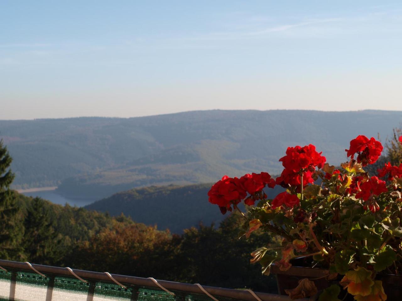 Hotel Haus Seeblick Нидеген Екстериор снимка